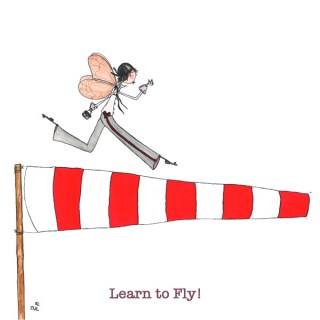 Fly